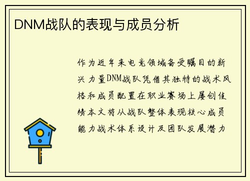 DNM战队的表现与成员分析