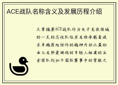 ACE战队名称含义及发展历程介绍