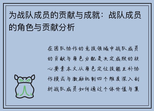 为战队成员的贡献与成就：战队成员的角色与贡献分析