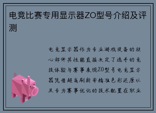 电竞比赛专用显示器ZO型号介绍及评测