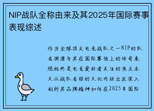 NIP战队全称由来及其2025年国际赛事表现综述