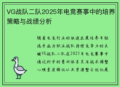VG战队二队2025年电竞赛事中的培养策略与战绩分析